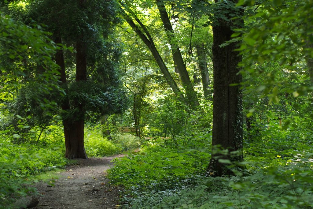 Park Grabiszyński- część dawnych cmentarzy