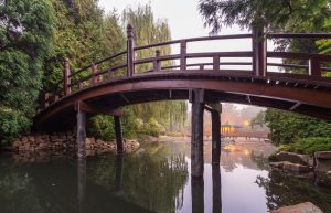 Ogród Japoński-mostek