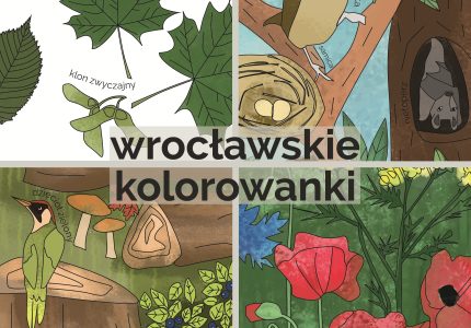 Wrocławskie kolorowanki