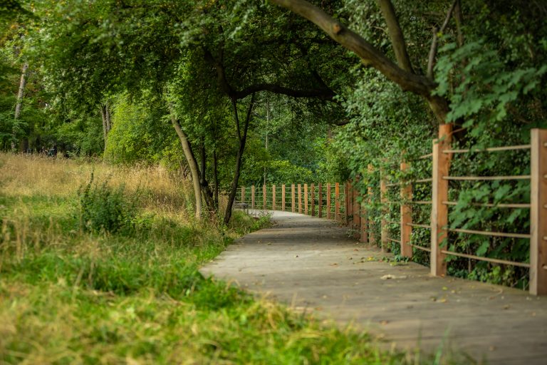 Park przy ul. Jeziorowej - widok na drewniany pomost i polanę.