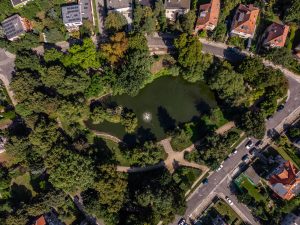 Skwer przy Anielewicza- widok z lotu ptaka na staw i otaczające go zadrzewienie.