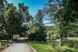 Skwer przy Anielewicza- widok na ścieżkę, po lewej stronie dwie ławki z oparciem, po prawej stronie fragment stawu i zadrzewienie.