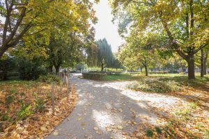 Plac Westerplatte- widok na utwardzoną ścieżkę, na drugim planie zadrzewienie i krzewy.