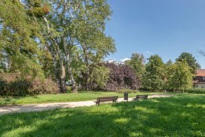 Zieleniec przy ul. Chełmońskiego - Widok na ścieżkę i drewniane ławki, na drugim planie drzewa i krzewy.