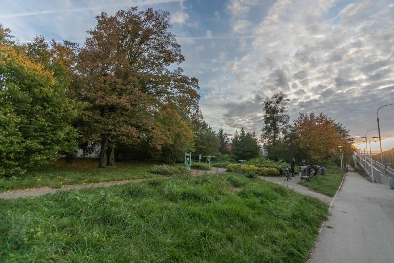 Skwer przy ul. Sycowskiej - widok na sprzęty siłowe, obok nasadzenia krzewów i ławki z oparciem, z tyłu okazy drzew.