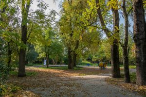 Skwer przy ul. Rubinowej-Nefrytowej- na pierwszym planie okazy drzew, na drugim planie fragment placu zabaw.