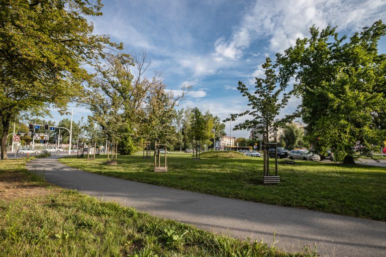 Zieleniec przy ul. Suchej- Dyrekcyjnej - widok na ścieżkę, wzdłuż niej młode nasadzenia drzew, na drugim planie niewielki pagórek i fragment ul. Dyrekcyjnej.