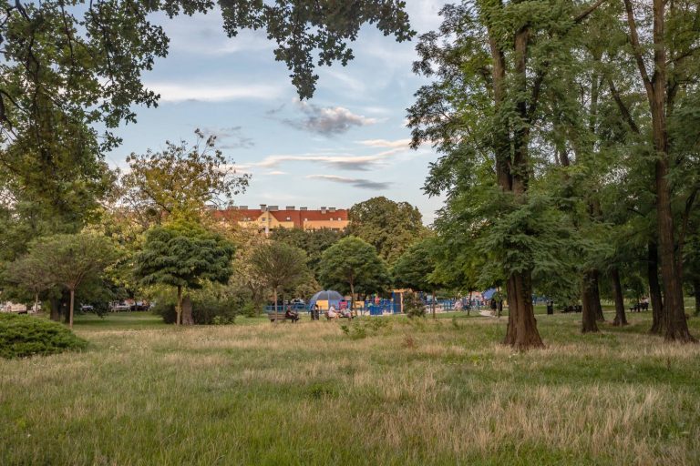 Skwer Władysława Stasiaka - widok na polanę, na drugim planie szpaler drzew i odpoczywający na ławkach mieszkańcy, w oddali fragment placu zabaw.