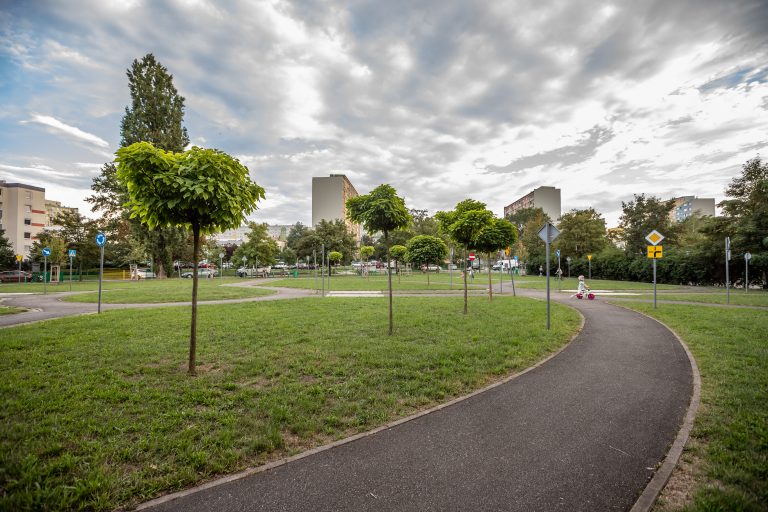 Plac Ludwika Zamenhofa- ujęcie na asfaltową ścieżkę, obok plac zieleni z młodymi nasadzeniami drzew.