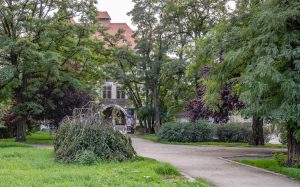 Skwer przy ul. Dawida- Ujęcie na place zieleni z okazami drzew i krzewów, pomiędzy nimi wytyczona ścieżka.