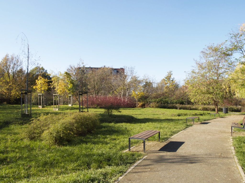 Park przy ul. Strońskiej - widok na ścieżkę, po jej obu stronach ławki, po lewej stronie młode nasadzenia drzew i grupy krzewów.