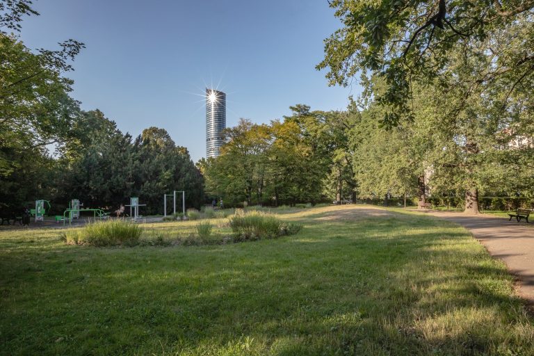 Plac Powstańców Śląskich- widok na polanę i nasadzenia traw ozdobnych, na drugim planie siłownia, w oddali Sky Tower.