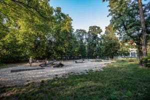 Park Tadeusza Różewicza - widok na polanę dla psów