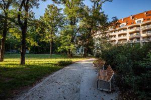 Park Tadeusza Różewicza - widok na ścieżkę i małą architekturę