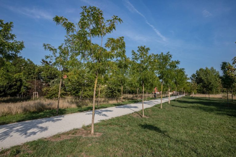 Park Migdałowy- widoczna aleja z młodymi nasadzeniami drzew.