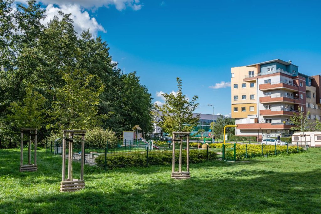 Zieleniec przy ul. Róży Wiatrów- na pierwszym planie młode nasadzenia drzew, na drugim planie ogrodzony plac zabaw, w oddali widoczna zjeżdżalnia.