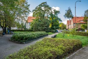 Skwer przy ul. Wietrznej- widok na grupy krzewów, na drugim planie ogrodzenie w formie żywopłotu oraz zadrzewienie.