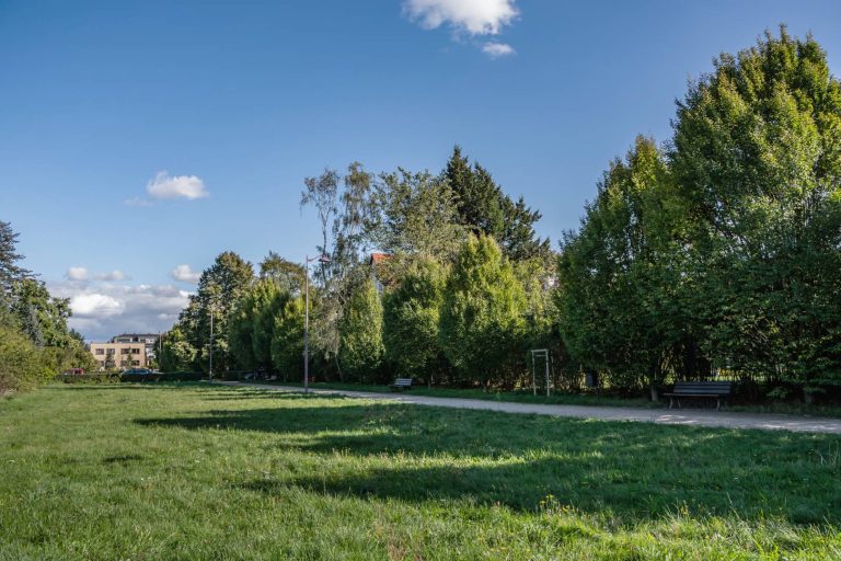 Promenada wzdłuż ul. Wędrowców- widok na polanę, po prawej stronie ścieżka, wzdłuż niej szpalery drzew.