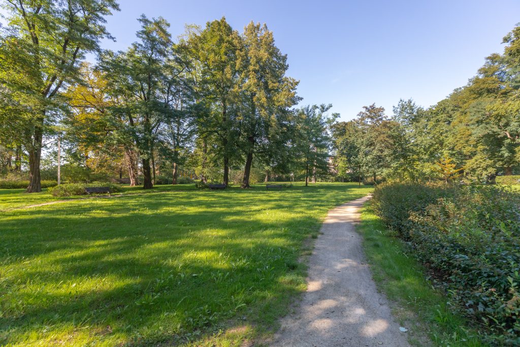 Skwer przy Ługowinie- widok na polanę i ścieżkę, wzdłuż drogi krzewy, na drugim planie trzy drewniane ławki i okazy drzew.