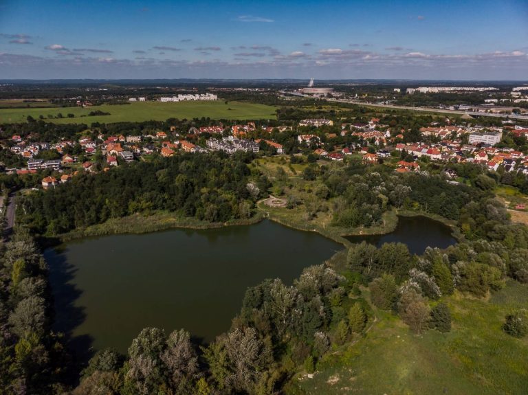 Park przy ul. Rumiankowej- widok z lotu ptaka na staw i okalające zadrzewienie, w oddali zabudowa mieszkaniowa.