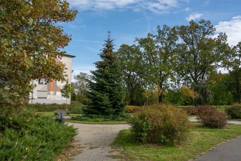 Zieleniec przy ul. Lotniczej- widok na zieleniec, pośrodku okrągły plac zieleni z drzewem iglastym, dookoła nasadzenia młodych drzew i krzewy.