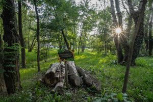 Park Leonarda da Vinci- widok na domek dla owadów, przed nim tabliczka informacyjna, dookoła zadrzewienie.