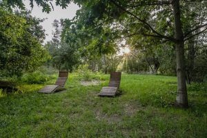 Park Leonarda da Vinci- widok na drewniane leżaki, dookoła zadrzewienie.