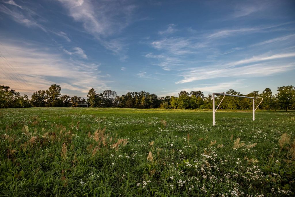 Górka Szczepińska- widok na polanę z roślinnością łąkową, na drugim planie bramki do gry w piłkę nożną oraz zadrzewienie.