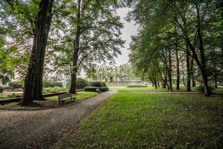 Plac Wiślany- widok na ścieżkę, po prawej stronie drogi polana, po lewo okazy robinii akacjowej.