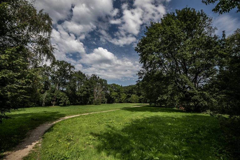 Park przy ul. Połbina- widok na ścieżkę, po obu jest stronach polany ze zwartym zadrzewieniem.