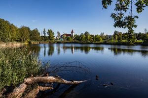 Park nad Ługowiną przy ul. Maślickiej- widok na staw i roślinność wodną, w tle zieleń okalająca oraz pobliski kościół.