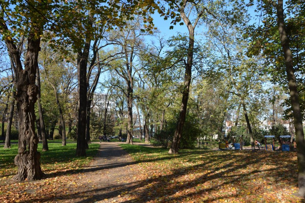 Park Aleksandry Natalli-Świat- widok na aleję drzew, po prawej stronie fragment placu zabaw.