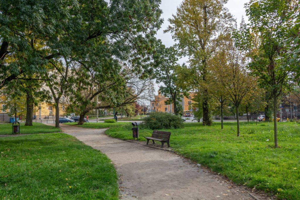 Skwer Czesława Niemena - widok na ścieżkę przechodzącą przez skwer, po prawej stronie drewniana ławka z oparciem, za nią drzewa oraz krzew.