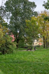 Skwer Czesława Niemena - widok na polanę, na drugim planie drewniane ławki i zadrzewienie.