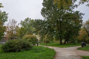 Skwer Czesława Niemena - widok na wydzielone place zieleni z nasadzeniami drzew i krzewów.