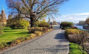 Bulwar Piotra Włostowica - widok na bulwar, po lewej stronie pas traw ozdobnych i bylin, dalej drzewa i krzewy, po prawej stronie nasadzenia krzewów. W tle rzeka i zabudowa miasta.