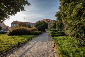 Widok na ścieżkę kamienną oraz zieleń na Placu Kościuszki.