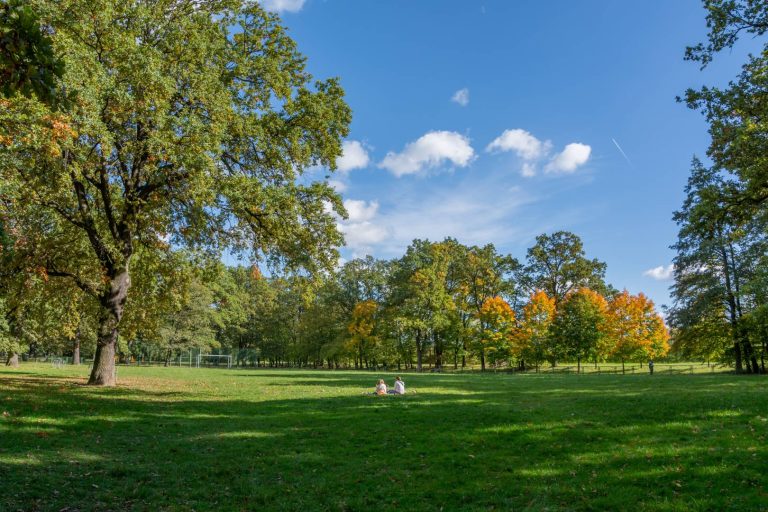 Park Biskupiński - widok na polanę, dookoła zadrzewienie. Widoczni odpoczywający mieszkańcy, w tle bramka do gry w piłkę nożną.