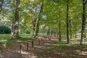 Park Biskupiński - widok na drewnianą siłownię, po obu stronach okazy drzew.