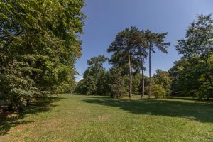 Park Brochowski- widok na polanę, na drugim planie okazy drzew i krzewów.