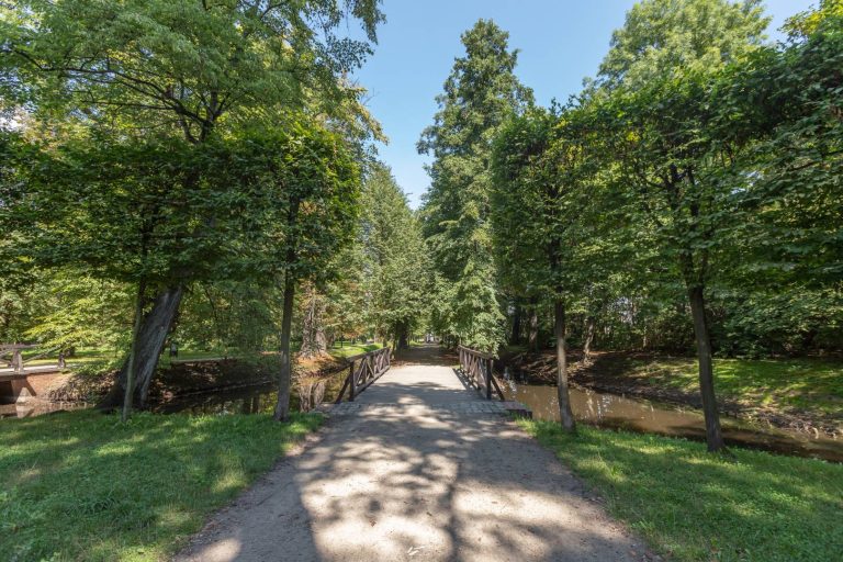 Park Brochowski- widok na drewniany mostek, za nim aleja drzew.
