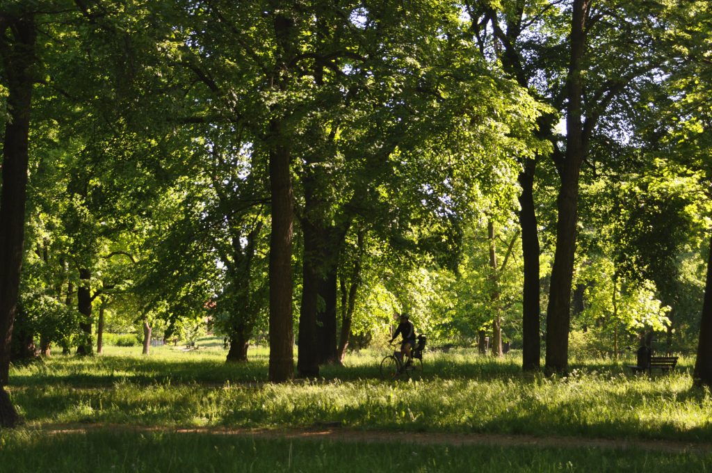Park Marii Dąbrowskiej-