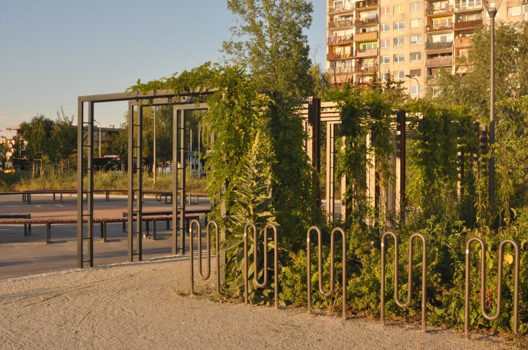 Park Jedności-Zakrzów- ozdobne trejaże w otoczeniu placu