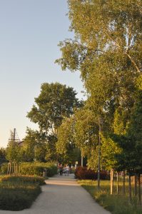 Park Jedności- Zakrzów- główna aleja spacerowa