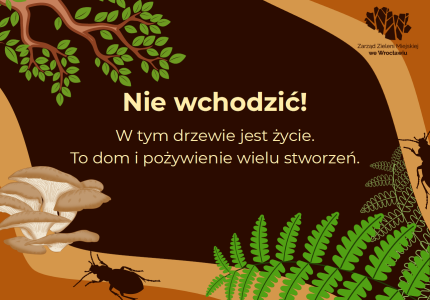 Tabliczka martwe drzewo - nie wchodzić
