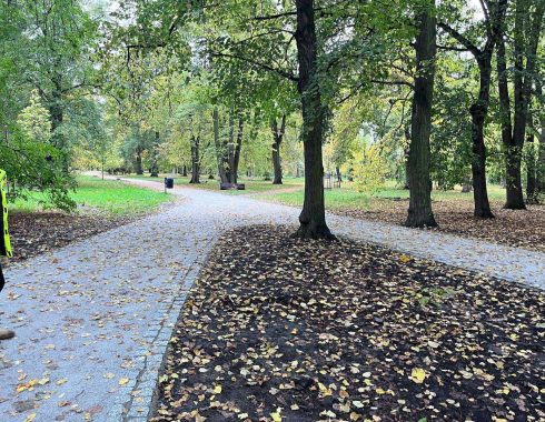 Park Skowroni